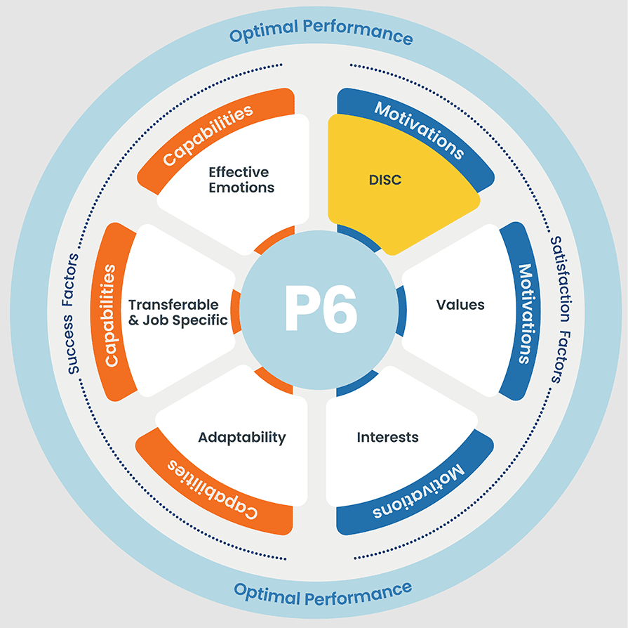P6 Model