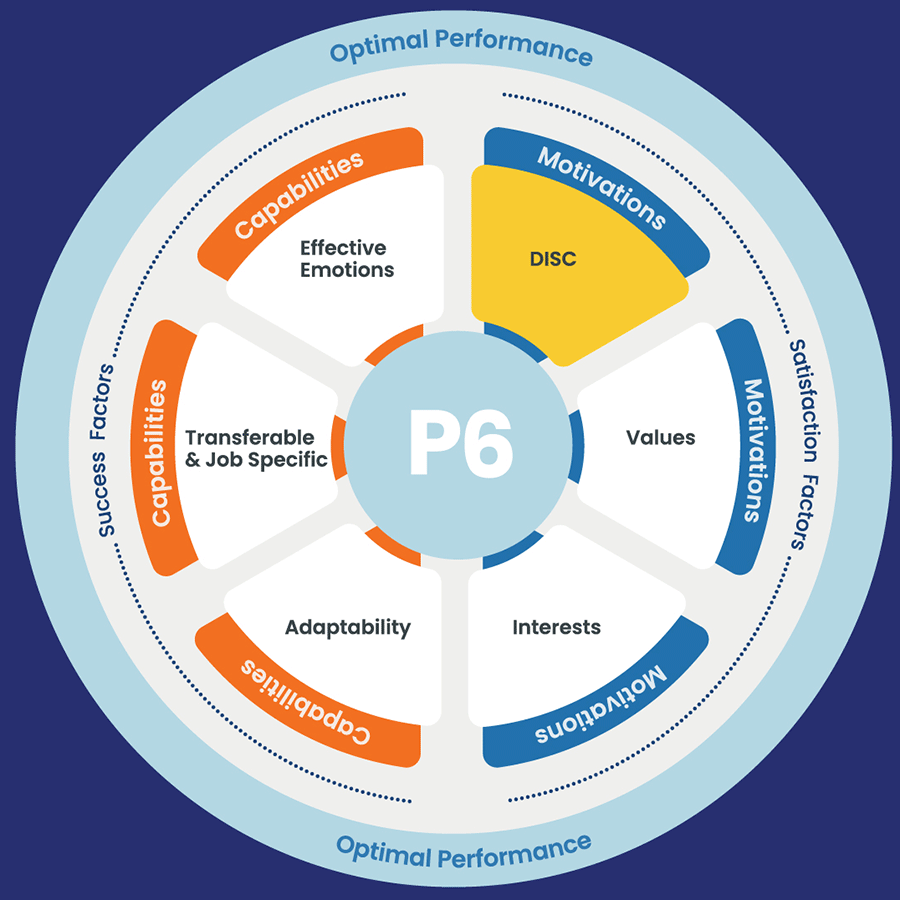 P6 Model