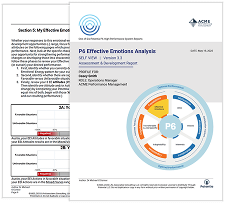 P6 Effective Emotions Report